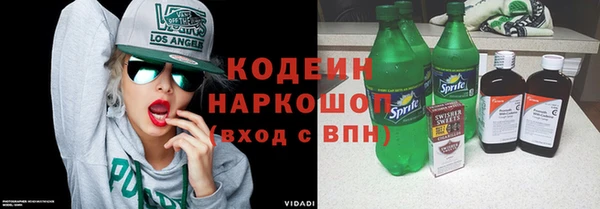 шишки Белоозёрский