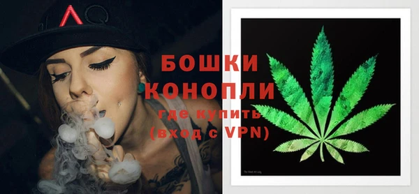 шишки Белоозёрский