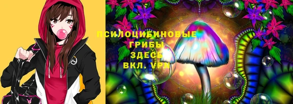 mdpv Богородск