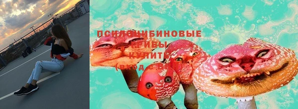 шишки Белоозёрский